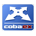 Project Management services for COBA Solutions